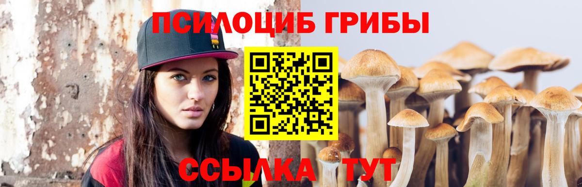 Галлюциногенные грибы MAGIC MUSHROOMS Борзя